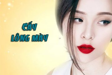 Địa chỉ cấy lông mày
