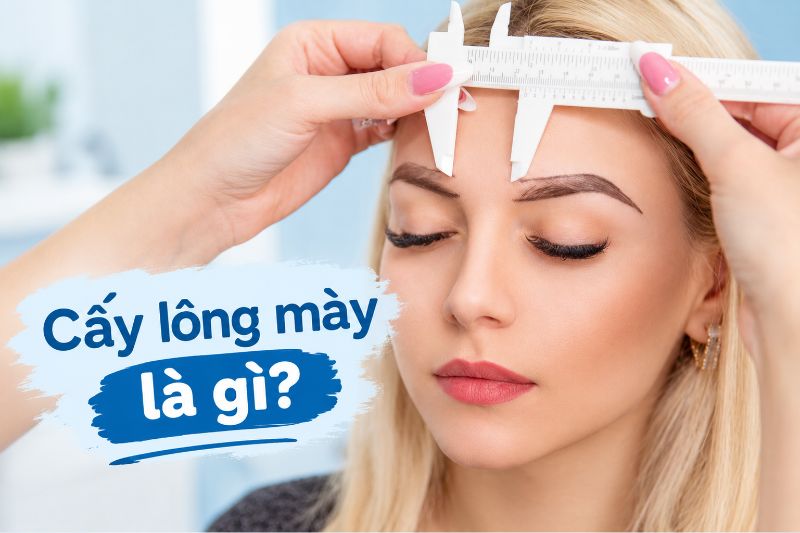 cấy lông mày là gì 