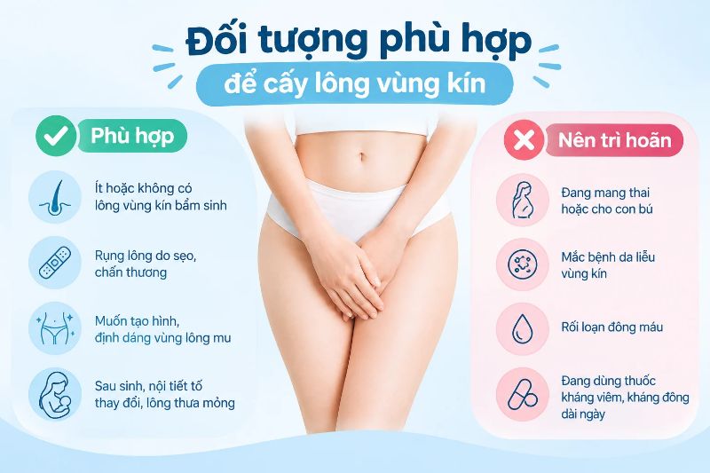đôi tượng phù hợp để cấy lông vùng kín 